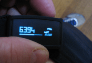 screen-shot-2017-01-29-at-15-17-30